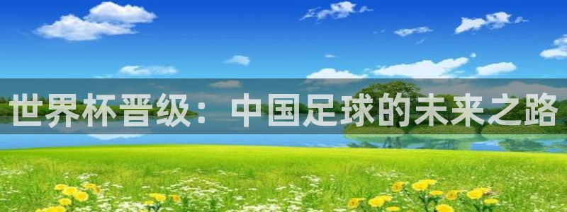 2026足球世界杯赛程：世界杯晋级：中国足球的未来之路