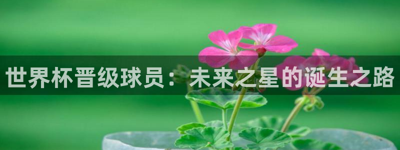 2006年世界杯冠军：世界杯晋级球员：未来之星的诞生之路