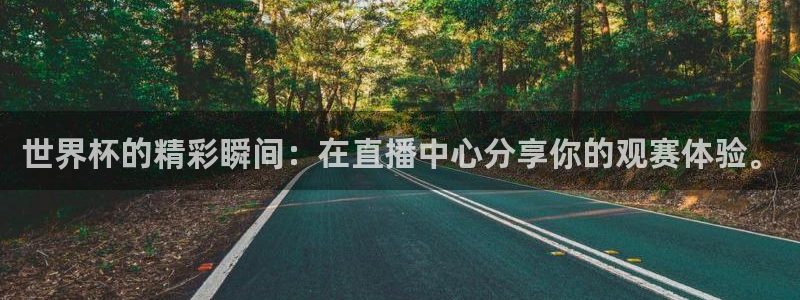 2026世界杯官网入口：世界杯的精彩瞬间：在直播中心分享你的观赛体验。