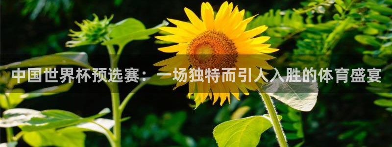 欧洲世预赛赛程表：中国世界杯预选赛：一场独特而引人入胜的体育盛宴