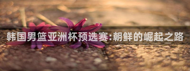 世界杯直播网:韩国男篮亚洲杯预选赛:朝鲜的崛起之路
