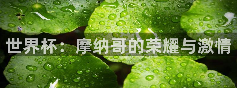 世界杯比赛:世界杯:摩纳哥的荣耀与激情