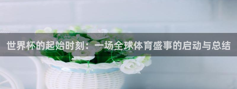 世界杯 直播：世界杯的起始时刻：一场全球体育盛事的启动与总结