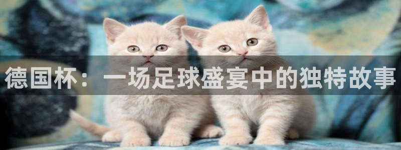 免费看足球直播比赛：德国杯：一场足球盛宴中的独特故事