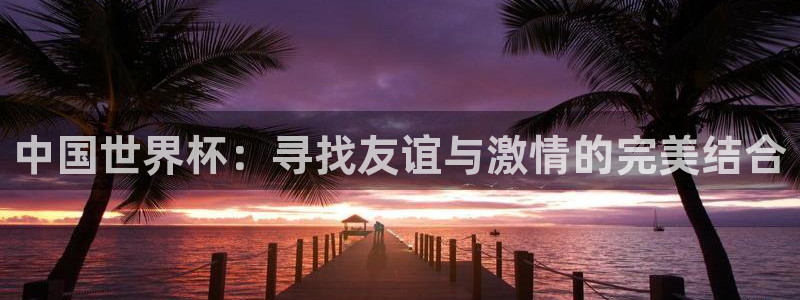 世界杯预选赛亚洲:中国世界杯:寻找友谊与激情的完美结合