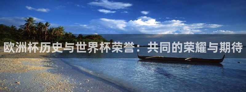 世界杯赛程表:欧洲杯历史与世界杯荣誉:共同的荣耀与期待