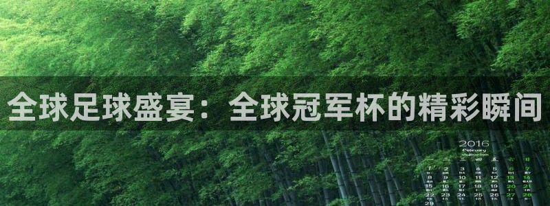 今天所有足球赛程表:全球足球盛宴:全球冠军杯的精彩瞬间