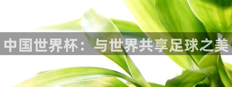 世界杯直播免费观看:中国世界杯:与世界共享足球之美