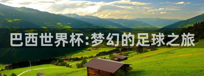 足球世界杯:巴西世界杯:梦幻的足球之旅