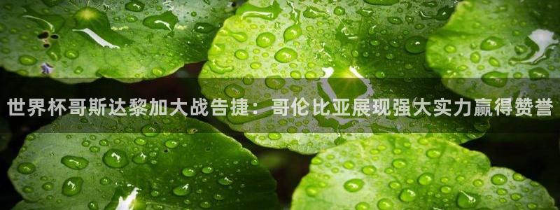 世界杯比赛直播:世界杯哥斯达黎加大战告捷:哥伦比亚展现强大实力赢得赞誉